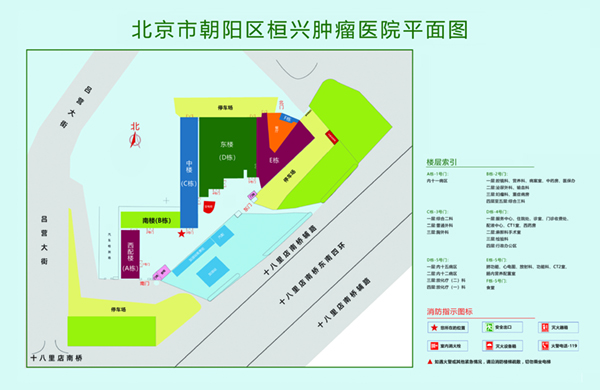 免费看姐弟花样大鸡吧爽操逼视频播放看北京市朝阳区桓兴肿瘤医院平面图